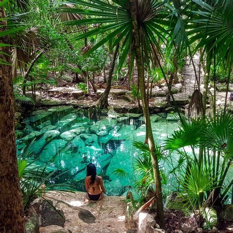 Top Cenotes In The Riviera Maya Cancun Sun