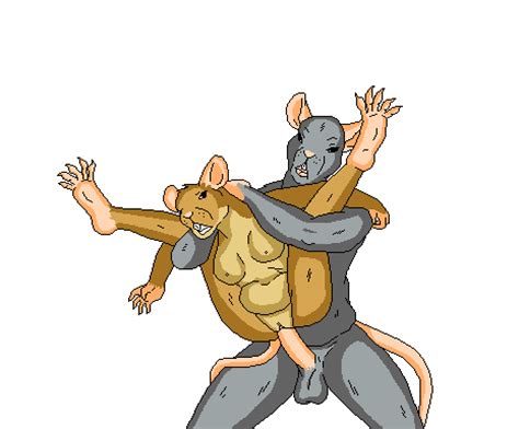 Rule 34 Animated Balls Breasts Brutus Whimsicalsquirrel Female