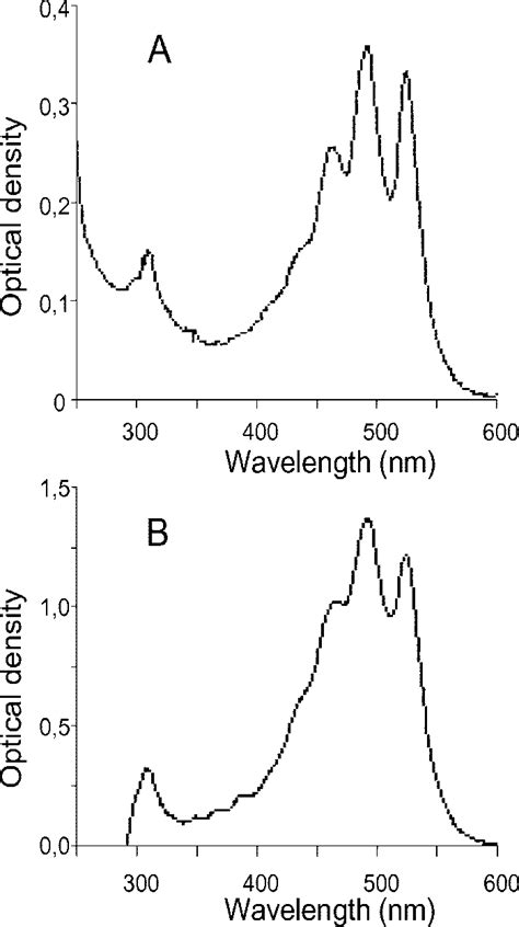 Uv Vis Spectra Of Pigment Extracts A Absorption Spectrum Of