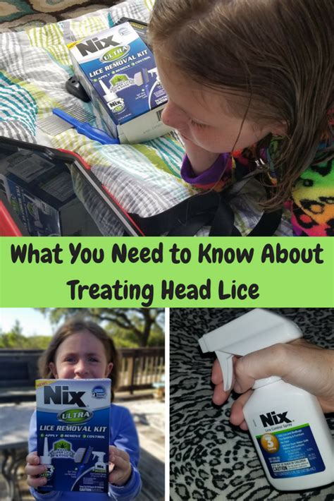 What You Need To Know About Treating Head Lice Head Louse Kids Going