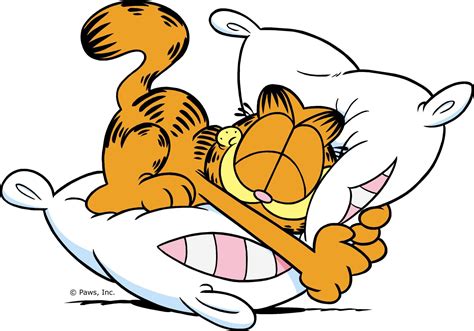 Garfield On A Lazy Sunday