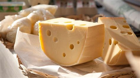 Cheese Is Great For Sex — Newsday