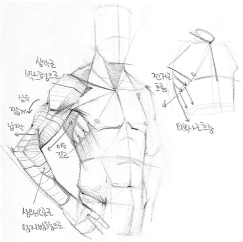 Human Body Drawing Male Figure Drawing Figure Drawing Reference