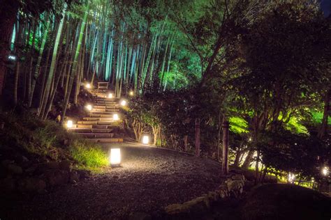 9 Wonderful Things To Do In Kyoto At Night In 2021