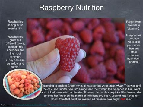 Ppt Raspberries Powerpoint Presentation Id2570856