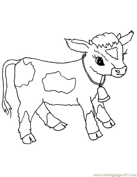Coloring Pages Baby Cow Animals Cow Free Printable
