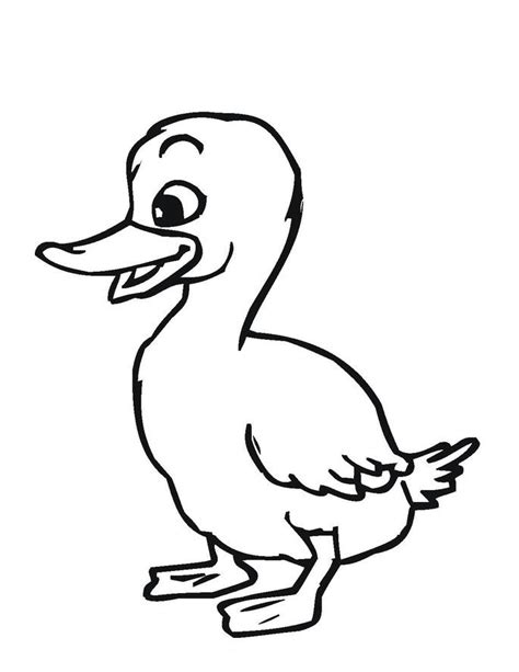 Baby Duck Coloring Page Coloring Pages