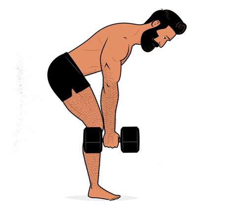 The Bent Over Barbell Row Hypertrophy Guide
