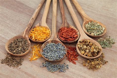 Introduction to Perfect Health: Ayurvedic Lifestyle Webinar