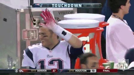 New England Patriots GIFs On GIPHY Be Animated