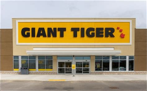 Giant Tiger Opening New Store In Saint John Connect Cre
