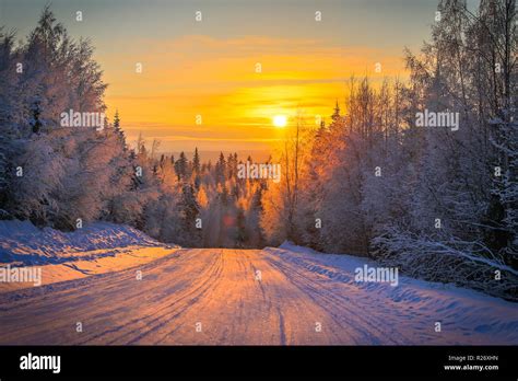Cold Winter Day Sunset Landscape With Snowy Trees Photo From Sotkamo