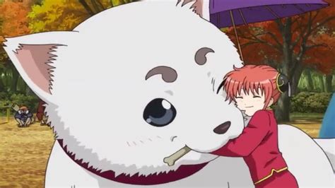 Aggregate Cutest Anime Pets Latest In Duhocakina