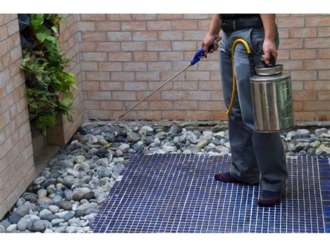 Fresno pest control that you can trust! Termite and Pest Control Business for sale in Gold Coast