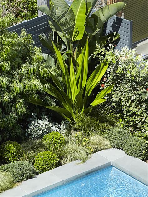 Bare Backyard Transformed Into A Contemporary Coastal Garden