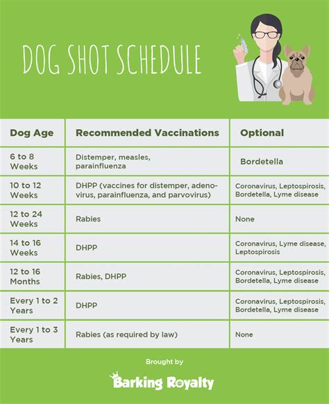 Dog Shot Schedule Chart Printable