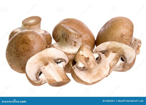 Swiss Brown Mushrooms Stock Image Image Of Crops Vegetable 5466261