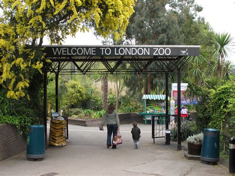 Лондонский зоопарк Столица туманного Альбиона