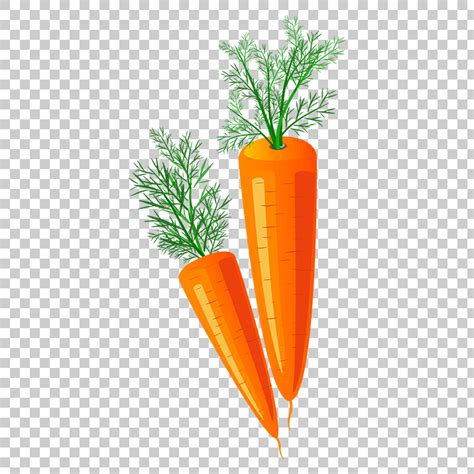 Carrot Clipart PNG image Free Download searchpng.com