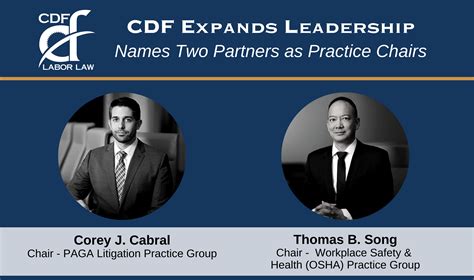 Cdf Labor Law Llp Announces Two New Practice Group Chairs Cdf Labor Law Llp