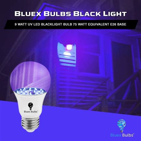 Buy Bluex Bulbs 2 Pack Led Black Light Bulb 9w A19 E26 Blacklight Bulb