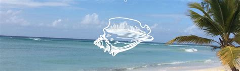 Salt Cay Tc Vacation Rentals House Rentals More Vrbo