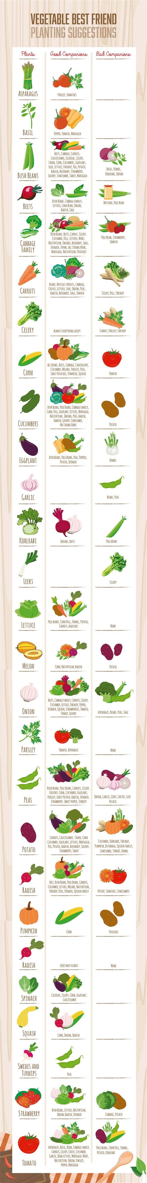 Companion Planting Chart Guide For Vegetables Companion Planting