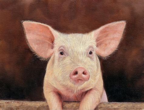 Pig Painting By David Stribbling