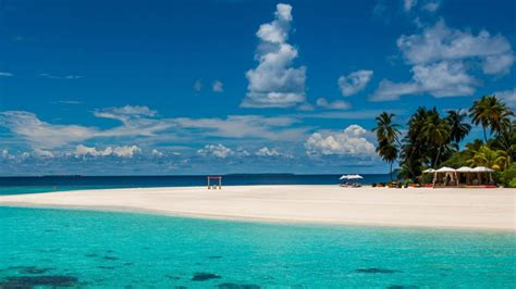 Tropical Maldives Beach Hd Wallpaper Download Wallpapers Pictures Photos