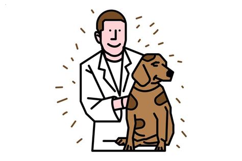The dog's digestive system may have trouble processing if too much food comes in at once so this may potentially lead to your dog throwing up the undigested parts. Why Does My Dog Keep Throwing Up Yellow Bile? | eHow
