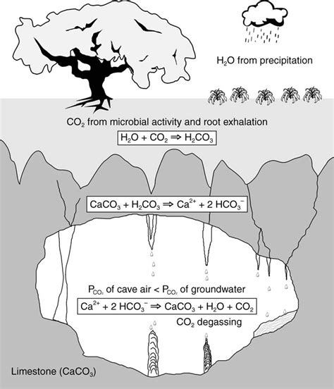 Stalactites And Stalagmites Diagram Together They Are Called