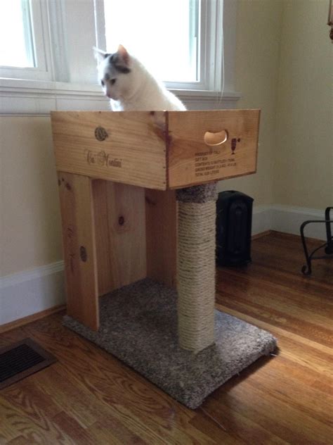 Imgur Post Imgur Diy Cat Scratching Post Cat Furniture Diy Diy Cat Tree