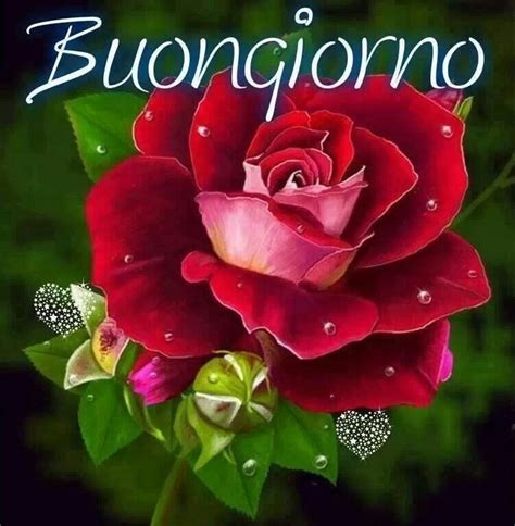 Uno scoiattolo si addormentò e sua madre lo coprì con una foglia. Buongiorno | Rose dipinte, Fiori colorati, Arte del fiore