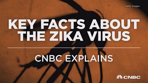 The Zika Virus Key Facts You Need To Know