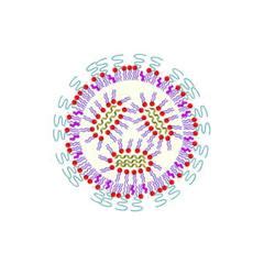 What is vero cell and how does it work? DESY News: DESYs Röntgenquelle PETRA III weist mögliche ...