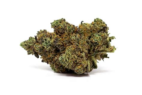 Strain Library - Maryland - Cannabis for a Kind New World | Kind Tree