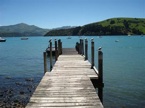 Akaroa New Zealand Photograph By Lesley Thorne Large New Zealand