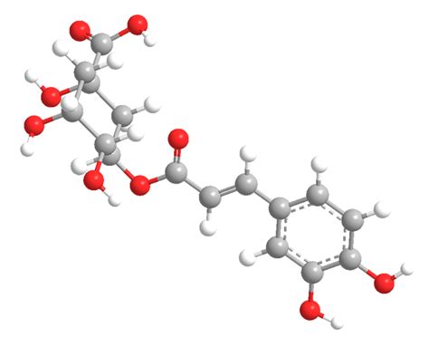 Chlorogenic acid and caffeic acid are antioxidants in vitro and might therefore contribute to the prevention of type 2 diabetes mellitus7 and cardiovascular chlorogenic acid is marketed under the tradename svetol in norway and the united kingdom as a food active ingredient used in coffee. Chlorogenic acid - American Chemical Society