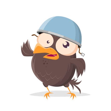 Ugly Birds Clip Art Illustrations Royalty Free Vector Graphics And Clip
