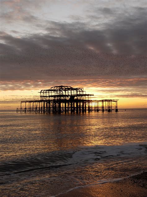 5 Unique Reasons To Visit Brighton England Wanderlust