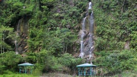 Keindahan Taman Nasional Bukit Tiga Puluh TribunPekanbaru Wiki