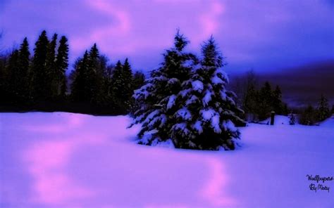 Hd Pink Purple Winter 1920x1080 Wallpaper Download Free 66651