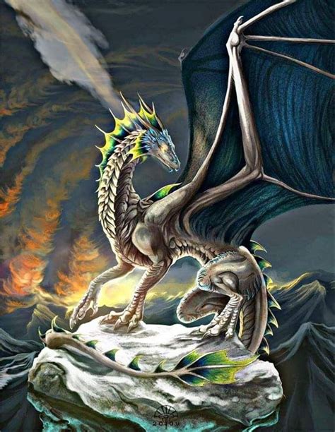 Pin By Rickey Long On Dragons Fantasy Dragon Dragon Pictures Dragon