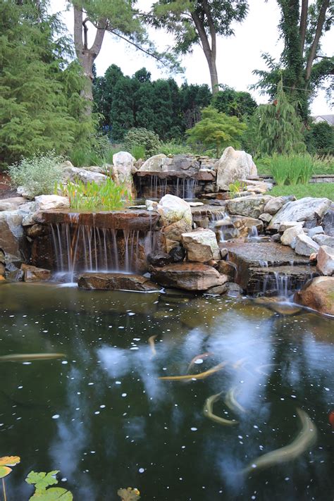 The Essentials Of Koi Pond Design And Maintenance In Northern Virginia