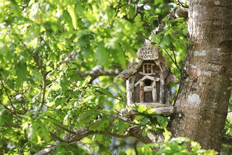 Bird House Design Ideas 11 Cute Styles That Will Attract Wildlife To