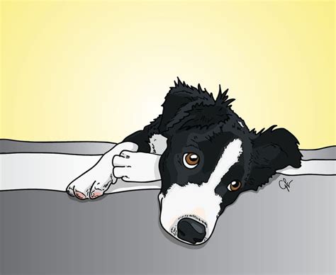 June Carter Border Collie Pet Portrait Dog Illustration By Grace