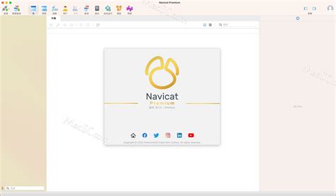 Navicat Premium 16 For Mac数据库管理软件v1614中文激活版 哔哩哔哩