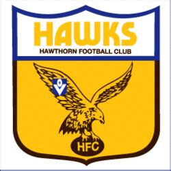In 2021, we proudly wear the hawks logo on our heart. Hawthorn Football Club | Logopedia | FANDOM powered by Wikia