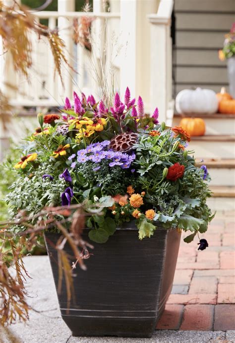 Cottage Style Flower Fill Container Garden Design Container Flowers