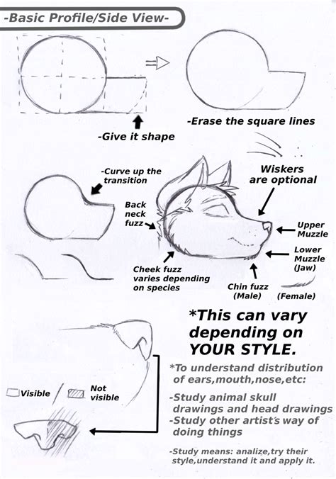 (Part-2) Head/Muzzle Tutorial & Personal Notes by The ... Draw a head outline like a circle.